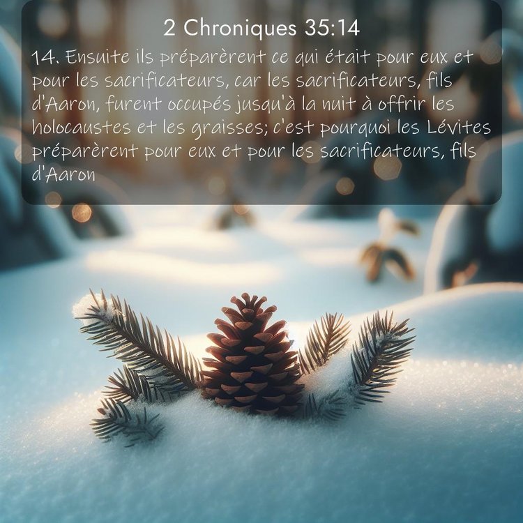 Segond 2 Chroniques 35:14