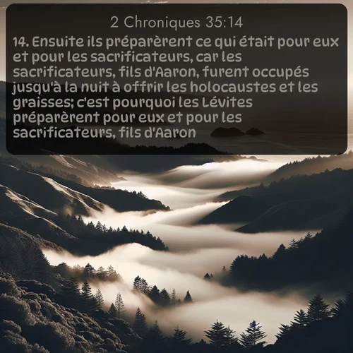 Segond 2 Chroniques  ; image nature: image avec le verset biblique :Ensuite ils préparèrent ce qui était pour eux et pour les sacrificateurs, car les sacrificateurs, fils d&#039;Aaron, furent occupés jusqu&#039;à la nuit à offrir les holocaustes et les graisses; c&#039;est pourquoi les Lévites préparèrent pour eux et pour les sacrificateurs, fils d&#039;Aaron. ;  ; 35:14