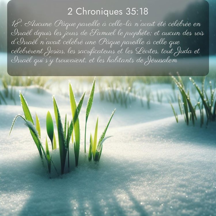 Segond 2 Chroniques 35:18