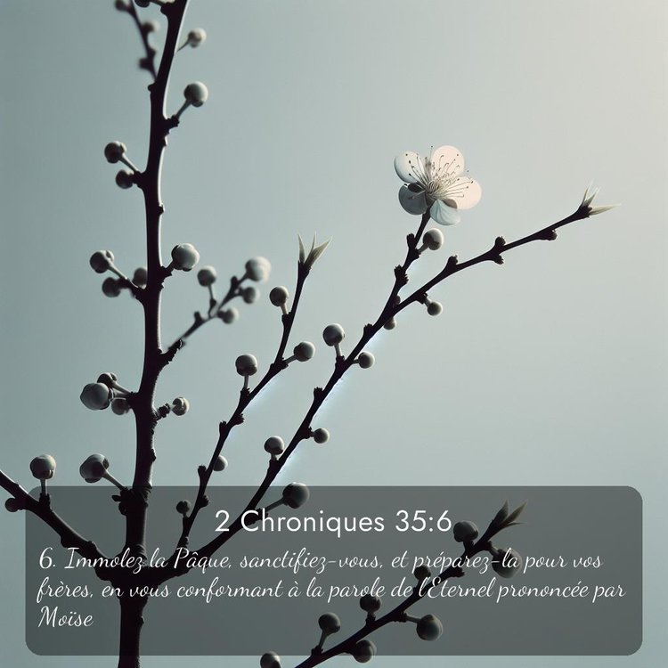 image nature avec verset biblique de la Bible