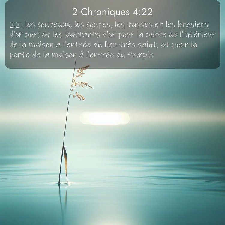 Segond 2 Chroniques 4:22