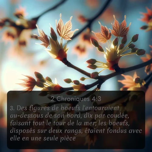 Segond 2 Chroniques  ; image nature: image avec le verset biblique :Des figures de boeufs l&#039;entouraient au-dessous de son bord, dix par coudée, faisant tout le tour de la mer; les boeufs, disposés sur deux rangs, étaient fondus avec elle en une seule pièce. ;  ; 4:3