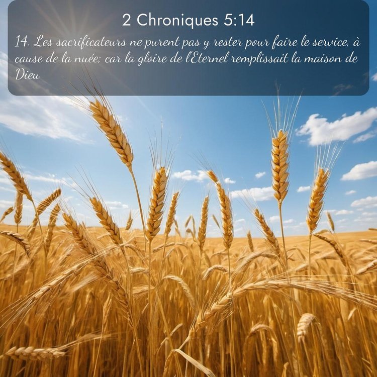 Segond 2 Chroniques 5:14