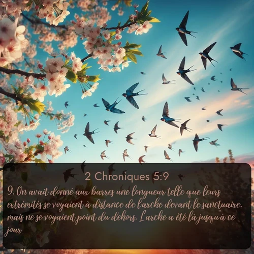 Segond 2 Chroniques  ; image nature: image avec le verset biblique :On avait donné aux barres une longueur telle que leurs extrémités se voyaient à distance de l&#039;arche devant le sanctuaire, mais ne se voyaient point du dehors. L&#039;arche a été là jusqu&#039;à ce jour. ;  ; 5:9