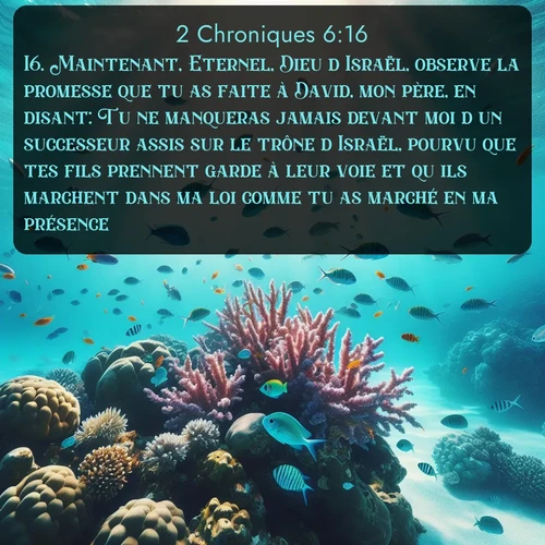 Segond 2 Chroniques  ; image nature: image avec le verset biblique :Maintenant, Eternel, Dieu d&#039;Israël, observe la promesse que tu as faite à David, mon père, en disant: Tu ne manqueras jamais devant moi d&#039;un successeur assis sur le trône d&#039;Israël, pourvu que tes fils prennent garde à leur voie et qu&#039;ils marchent dans ma loi comme tu as marché en ma présence. ;  ; 6:16