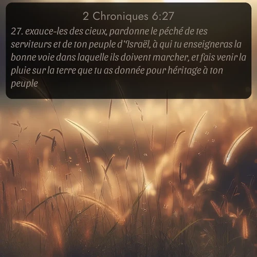 Segond 2 Chroniques  ; image nature: image avec le verset biblique :exauce-les des cieux, pardonne le péché de tes serviteurs et de ton peuple d&#039;Israël, à qui tu enseigneras la bonne voie dans laquelle ils doivent marcher, et fais venir la pluie sur la terre que tu as donnée pour héritage à ton peuple! ;  ; 6:27
