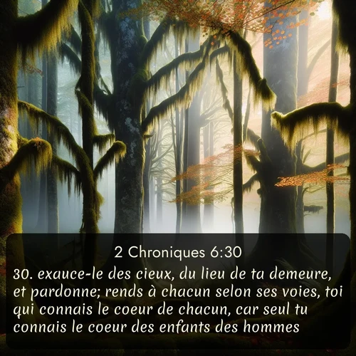 Segond 2 Chroniques  ; image nature: image avec le verset biblique :exauce-le des cieux, du lieu de ta demeure, et pardonne; rends à chacun selon ses voies, toi qui connais le coeur de chacun, car seul tu connais le coeur des enfants des hommes, ;  ; 6:30