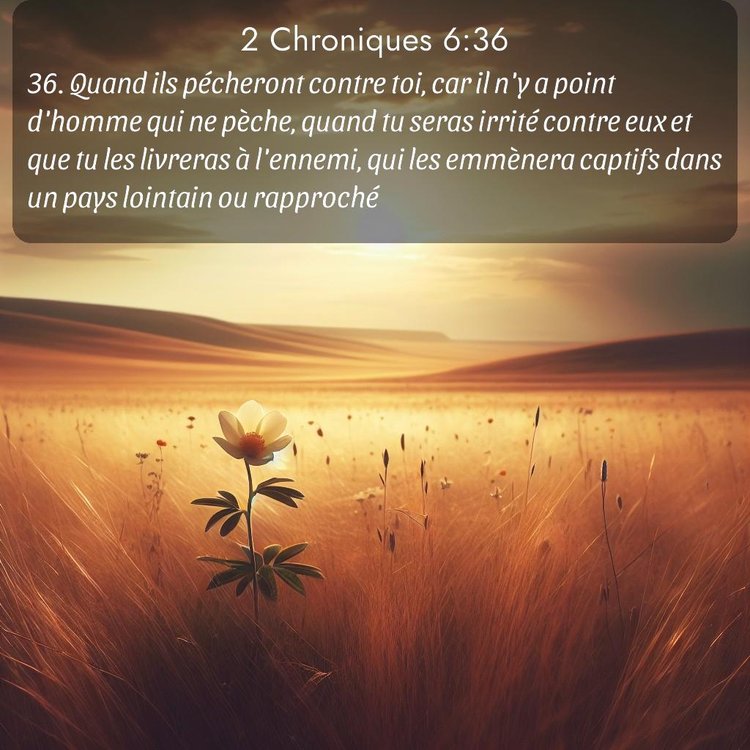 image nature avec verset biblique de la Bible