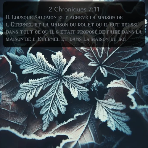 Segond 2 Chroniques  ; image nature: image avec le verset biblique :Lorsque Salomon eut achevé la maison de l&#039;Eternel et la maison du roi, et qu&#039;il eut réussi dans tout ce qu&#039;il s&#039;était proposé de faire dans la maison de l&#039;Eternel et dans la maison du roi, ;  ; 7:11