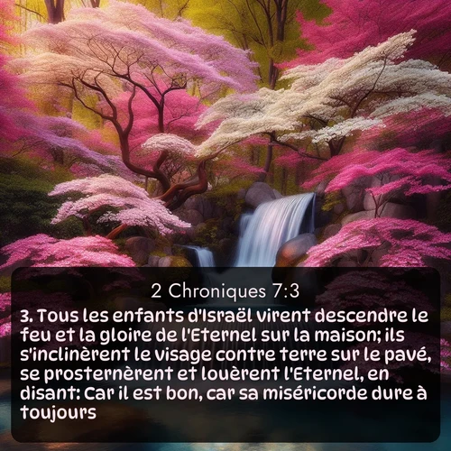 Segond 14 7:3