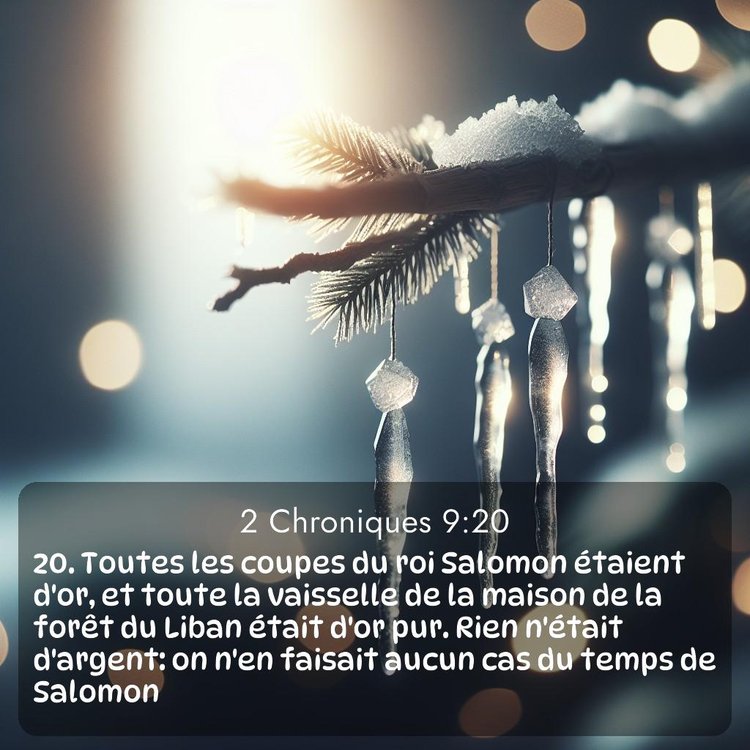 Segond 2 Chroniques 9:20