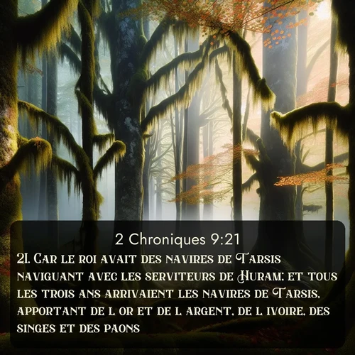 Segond 2 Chroniques  ; image nature: image avec le verset biblique :Car le roi avait des navires de Tarsis naviguant avec les serviteurs de Huram; et tous les trois ans arrivaient les navires de Tarsis, apportant de l&#039;or et de l&#039;argent, de l&#039;ivoire, des singes et des paons. ;  ; 9:21