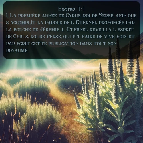 Segond 15 1:1