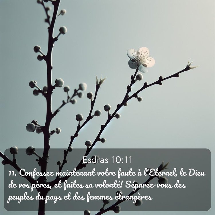 image nature avec verset biblique de la Bible