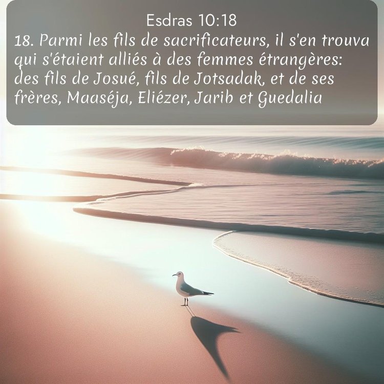 Segond Esdras 10:18