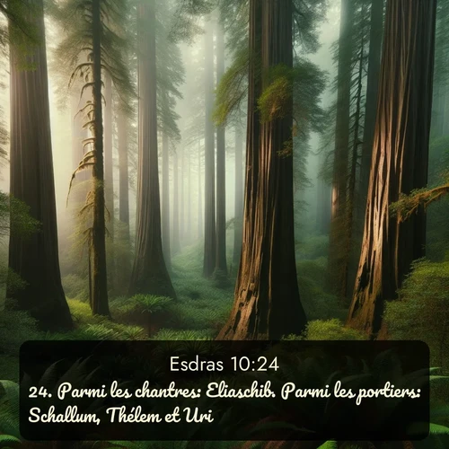 Segond Esdras  ; image nature: image avec le verset biblique :Parmi les chantres: Eliaschib. Parmi les portiers: Schallum, Thélem et Uri. ;  ; 10:24