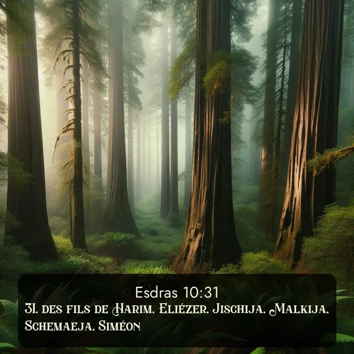 Segond Esdras  ; image nature: image avec le verset biblique :des fils de Harim, Eliézer, Jischija, Malkija, Schemaeja, Siméon, ;  ; 10:31