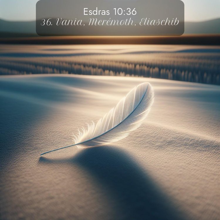 image nature avec verset biblique de la Bible
