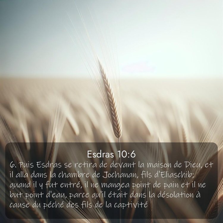 image nature avec verset biblique de la Bible