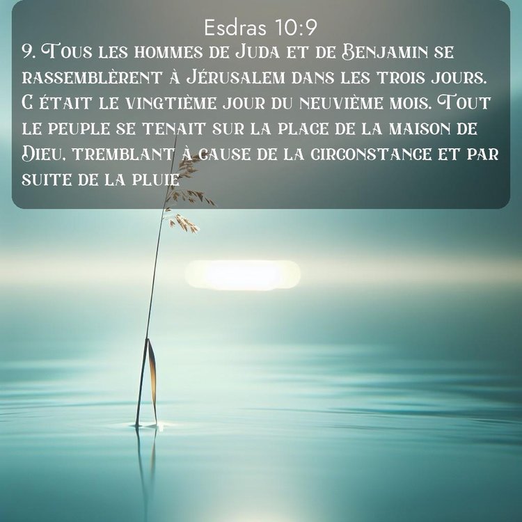 image nature avec verset biblique de la Bible