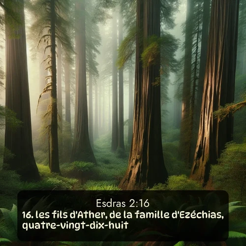 Segond Esdras  ; image nature: image avec le verset biblique :les fils d&#039;Ather, de la famille d&#039;Ezéchias, quatre-vingt-dix-huit; ;  ; 2:16