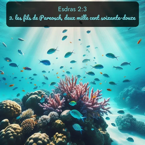 Segond Esdras  ; image nature: image avec le verset biblique :les fils de Pareosch, deux mille cent soixante-douze; ;  ; 2:3