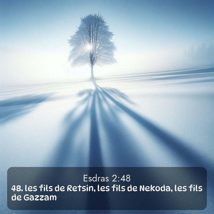 Segond Esdras 2:48