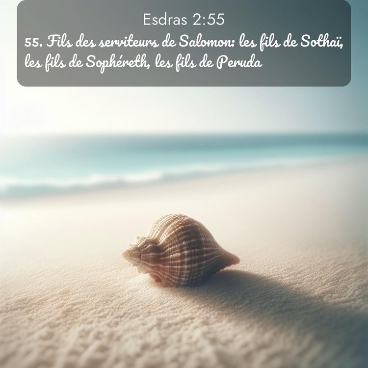 Segond Esdras 2:55