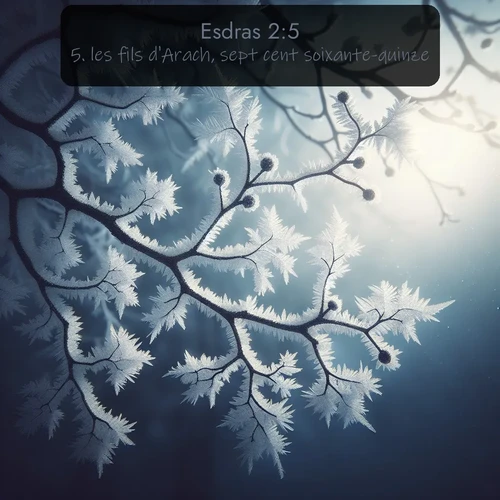 Segond Esdras  ; image nature: image avec le verset biblique :les fils d&#039;Arach, sept cent soixante-quinze; ;  ; 2:5