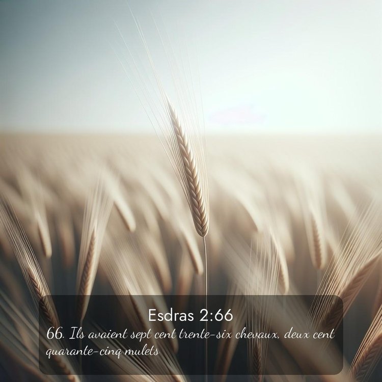 image nature avec verset biblique de la Bible
