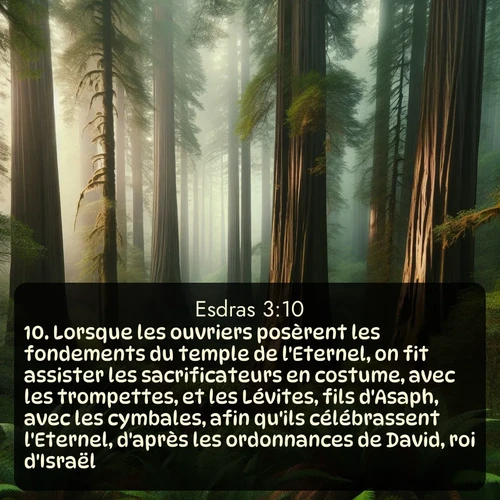 Segond Esdras  ; image nature: image avec le verset biblique :Lorsque les ouvriers posèrent les fondements du temple de l&#039;Eternel, on fit assister les sacrificateurs en costume, avec les trompettes, et les Lévites, fils d&#039;Asaph, avec les cymbales, afin qu&#039;ils célébrassent l&#039;Eternel, d&#039;après les ordonnances de David, roi d&#039;Israël. ;  ; 3:10