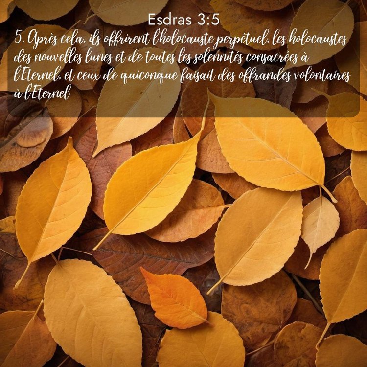 image nature avec verset biblique de la Bible