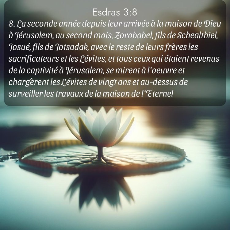 image nature avec verset biblique de la Bible