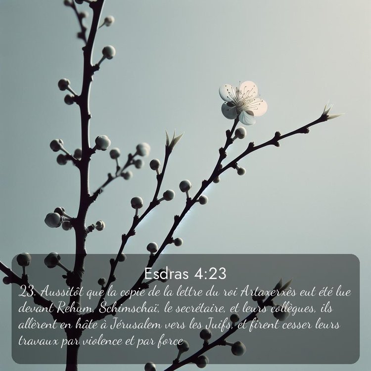 image nature avec verset biblique de la Bible