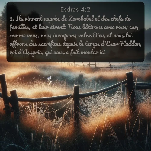 Segond Esdras  ; image nature: image avec le verset biblique :Ils vinrent auprès de Zorobabel et des chefs de familles, et leur dirent: Nous bâtirons avec vous; car, comme vous, nous invoquons votre Dieu, et nous lui offrons des sacrifices depuis le temps d&#039;Esar-Haddon, roi d&#039;Assyrie, qui nous a fait monter ici. ;  ; 4:2