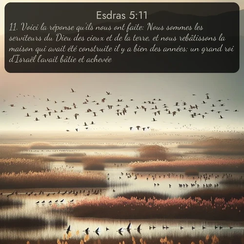 Segond Esdras  ; image nature: image avec le verset biblique :Voici la réponse qu&#039;ils nous ont faite: Nous sommes les serviteurs du Dieu des cieux et de la terre, et nous rebâtissons la maison qui avait été construite il y a bien des années; un grand roi d&#039;Israël l&#039;avait bâtie et achevée. ;  ; 5:11
