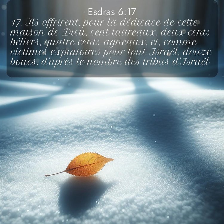 Segond Esdras 6:17