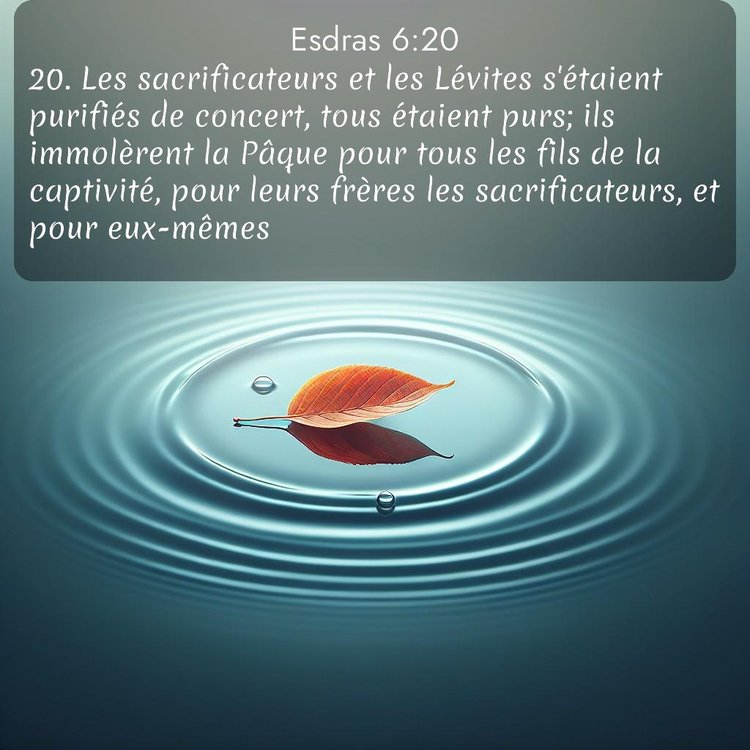 image nature avec verset biblique de la Bible