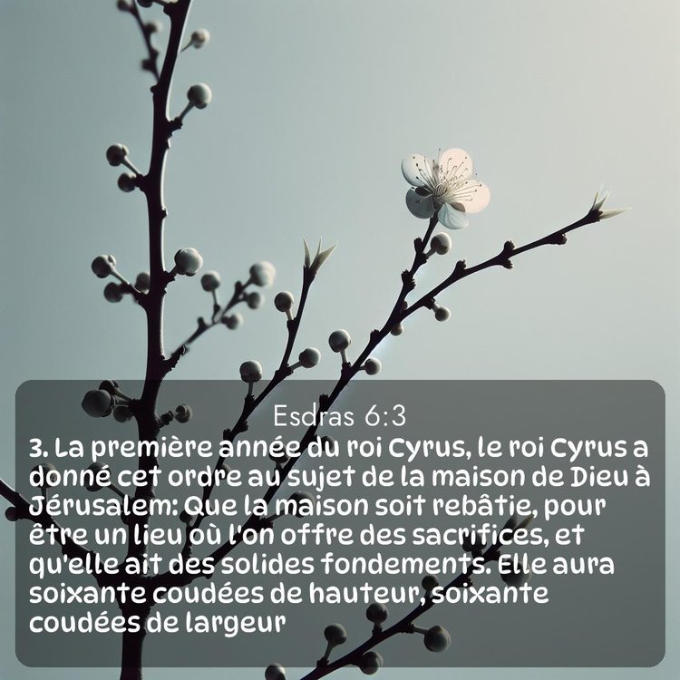image nature avec verset biblique de la Bible