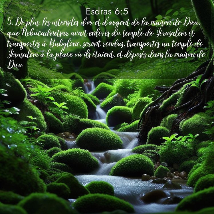 Segond Esdras 6:5