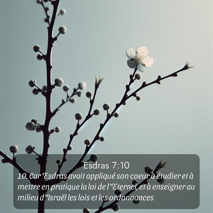 image nature avec verset biblique de la Bible