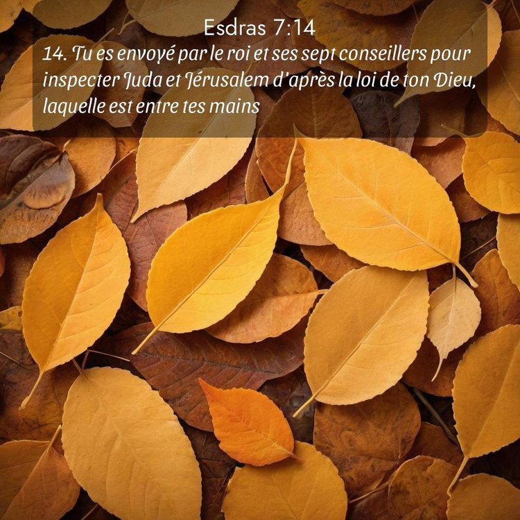image nature avec verset biblique de la Bible