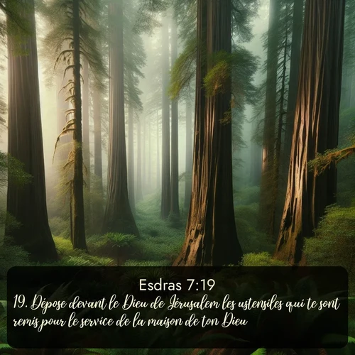 Segond Esdras  ; image nature: image avec le verset biblique :Dépose devant le Dieu de Jérusalem les ustensiles qui te sont remis pour le service de la maison de ton Dieu. ;  ; 7:19