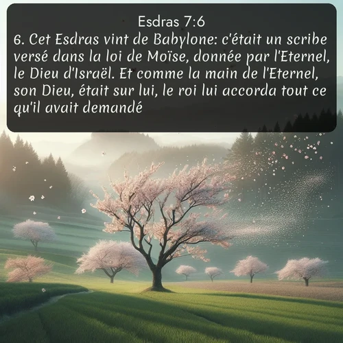 Segond Esdras  ; image nature: image avec le verset biblique :Cet Esdras vint de Babylone: c&#039;était un scribe versé dans la loi de Moïse, donnée par l&#039;Eternel, le Dieu d&#039;Israël. Et comme la main de l&#039;Eternel, son Dieu, était sur lui, le roi lui accorda tout ce qu&#039;il avait demandé. ;  ; 7:6
