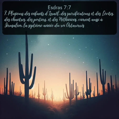 Segond Esdras  ; image nature: image avec le verset biblique :Plusieurs des enfants d&#039;Israël, des sacrificateurs et des Lévites, des chantres, des portiers, et des Néthiniens, vinrent aussi à Jérusalem, la septième année du roi Artaxerxès. ;  ; 7:7