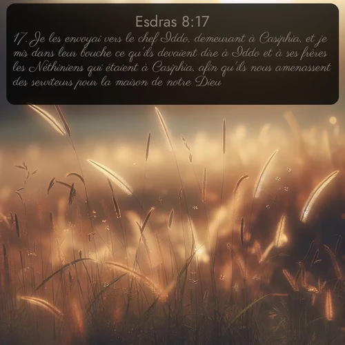 Segond Esdras  ; image nature: image avec le verset biblique :Je les envoyai vers le chef Iddo, demeurant à Casiphia, et je mis dans leur bouche ce qu&#039;ils devaient dire à Iddo et à ses frères les Néthiniens qui étaient à Casiphia, afin qu&#039;ils nous amenassent des serviteurs pour la maison de notre Dieu. ;  ; 8:17