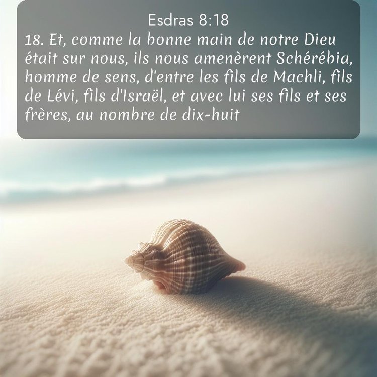 image nature avec verset biblique de la Bible