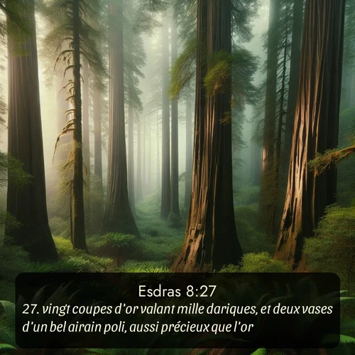 Segond Esdras  ; image nature: image avec le verset biblique :vingt coupes d&#039;or valant mille dariques, et deux vases d&#039;un bel airain poli, aussi précieux que l&#039;or. ;  ; 8:27