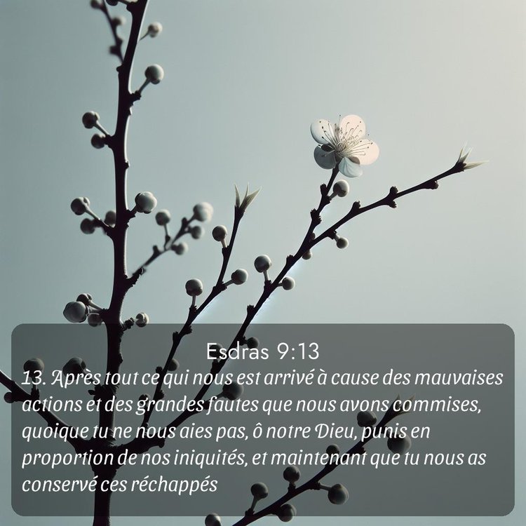 Segond Esdras 9:13