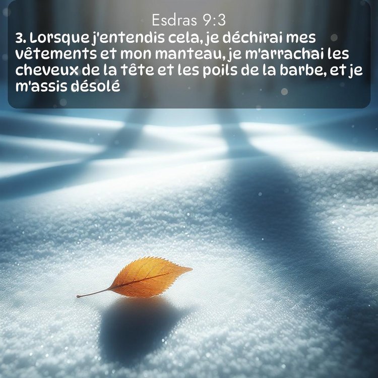 image nature avec verset biblique de la Bible